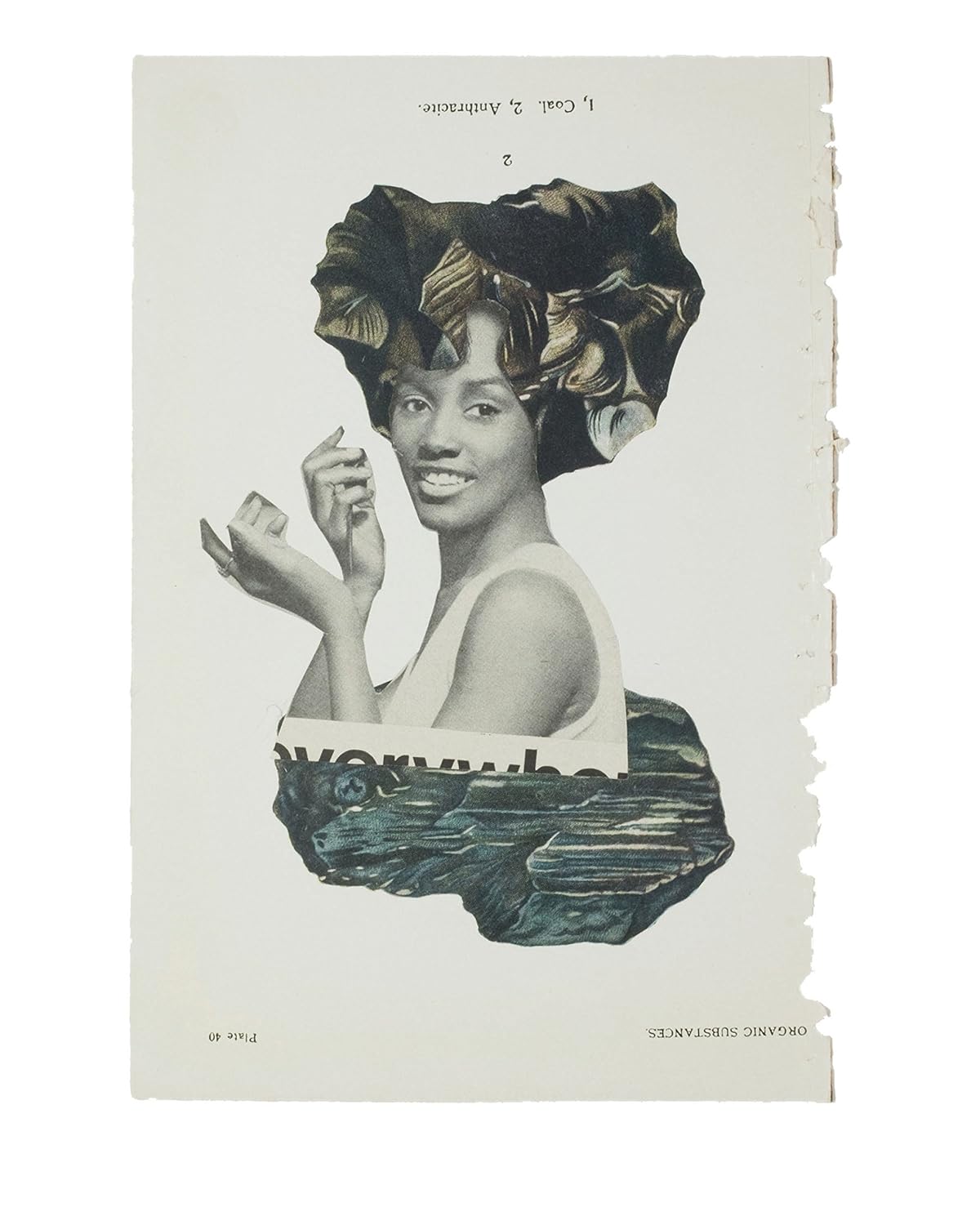 HACHETTE BOOK / Lorna Simpson Collages