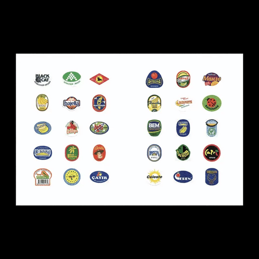 MASALA NOIR PUBLICATIONS / Fruit Stickers Book