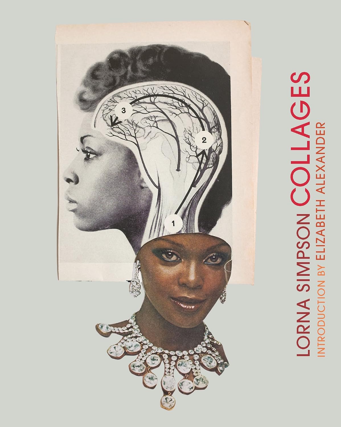 HACHETTE BOOK / Lorna Simpson Collages